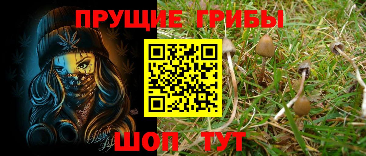 Псилоцибиновые грибы мухоморы Красноуфимск
